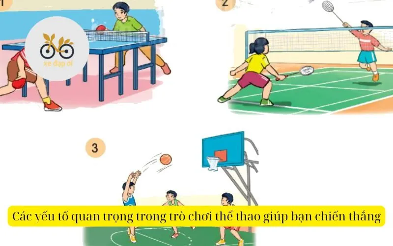 Các yếu tố quan trọng trong trò chơi thể thao giúp bạn chiến thắng