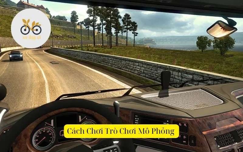 Cách chơi trò chơi mô phỏng