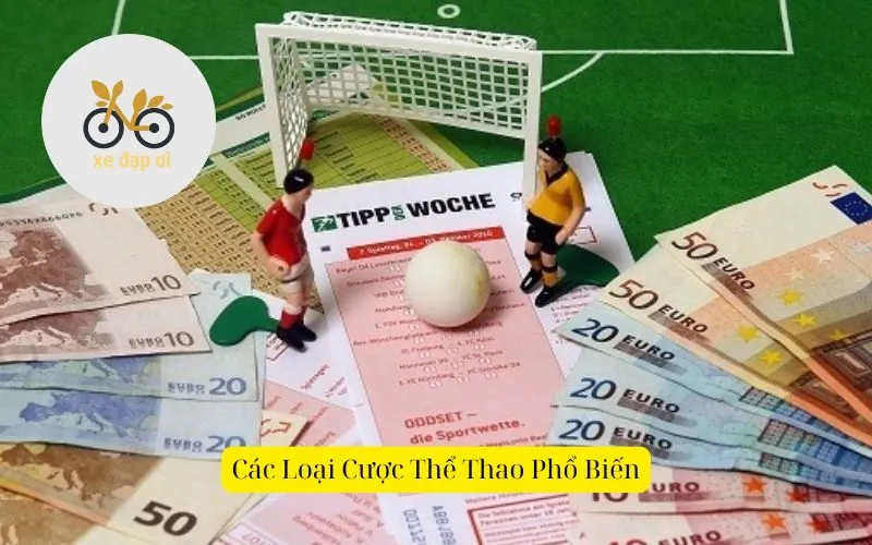 Các Loại Cược Thể Thao Phổ Biến