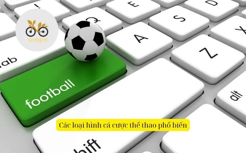 Các loại hình cá cược thể thao phổ biến