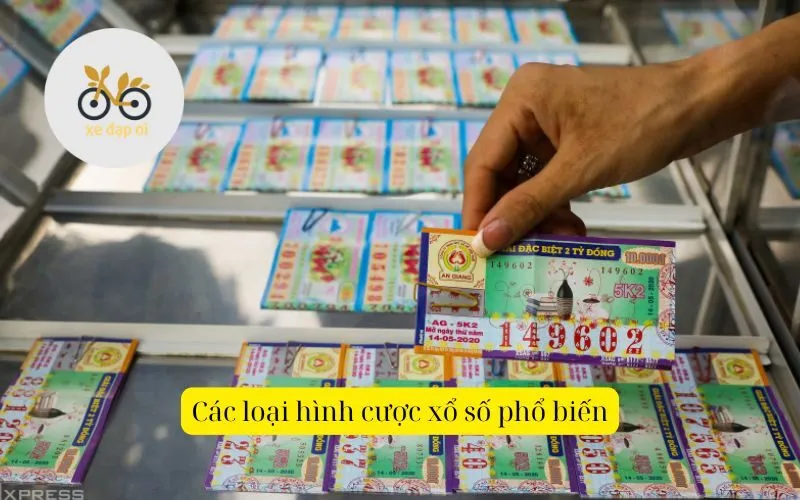 Các loại hình cược xổ số phổ biến