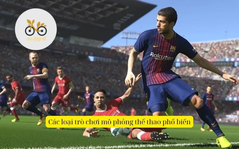 Các loại trò chơi mô phỏng thể thao phổ biến