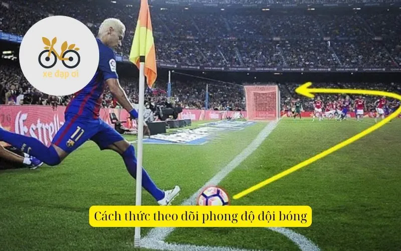 Cách thức theo dõi phong độ đội bóng