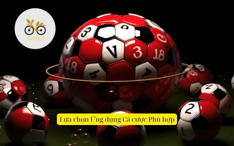 Lựa chọn Ứng dụng Cá cược Phù hợp
