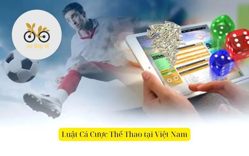 Luật Cá Cược Thể Thao tại Việt Nam