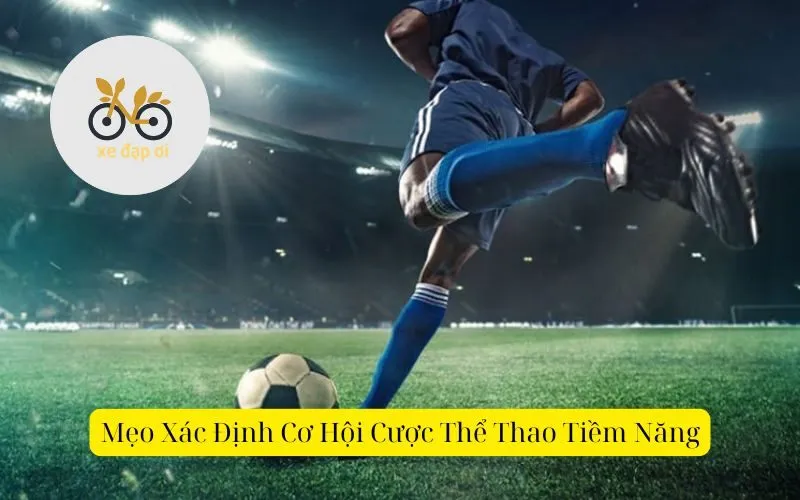 Mẹo Xác Định Cơ Hội Cược Thể Thao Tiềm Năng