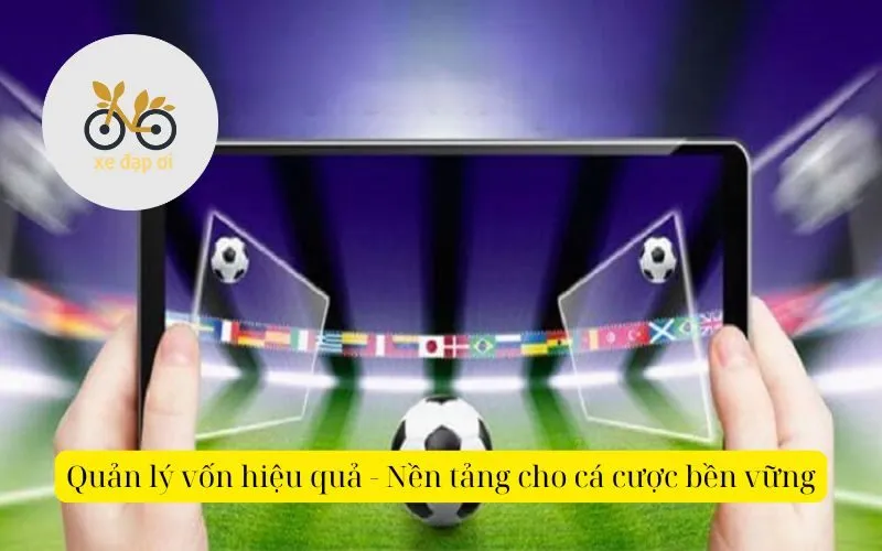 Quản lý vốn hiệu quả - Nền tảng cho cá cược bền vững