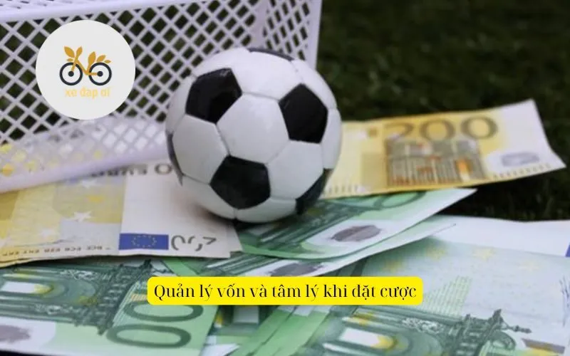 Quản lý vốn và tâm lý khi đặt cược