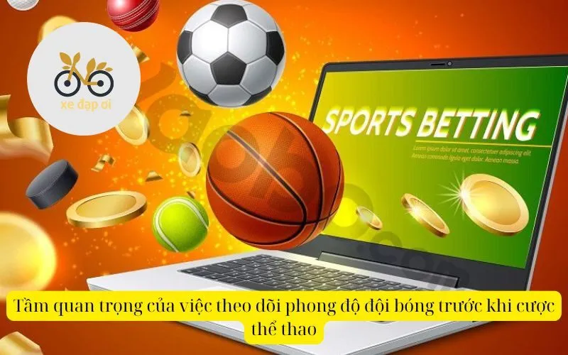 Tầm quan trọng của việc theo dõi phong độ đội bóng trước khi cược thể thao
