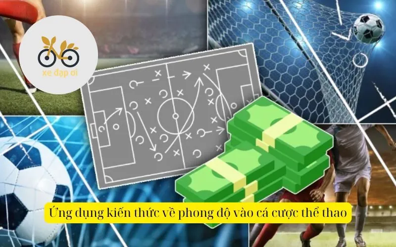 Ứng dụng kiến thức về phong độ vào cá cược thể thao