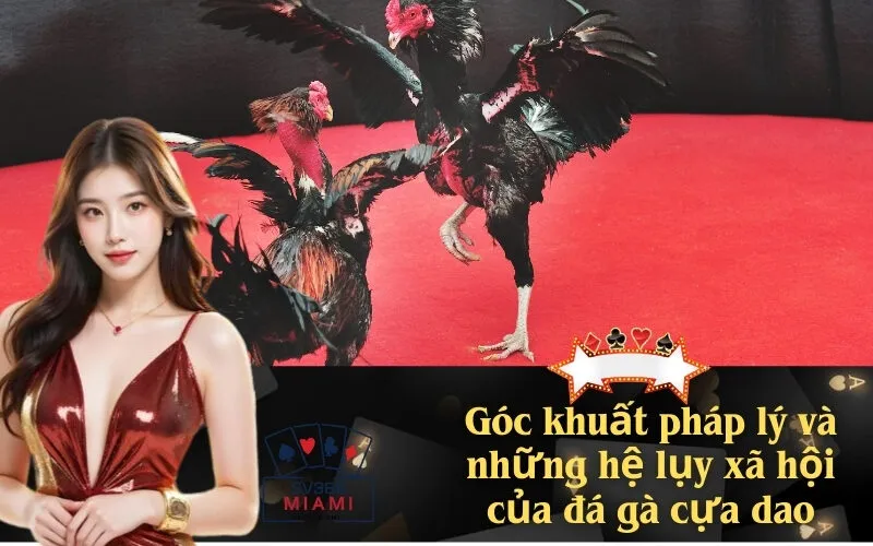 Góc khuất pháp lý và những hệ lụy xã hội của đá gà cựa dao