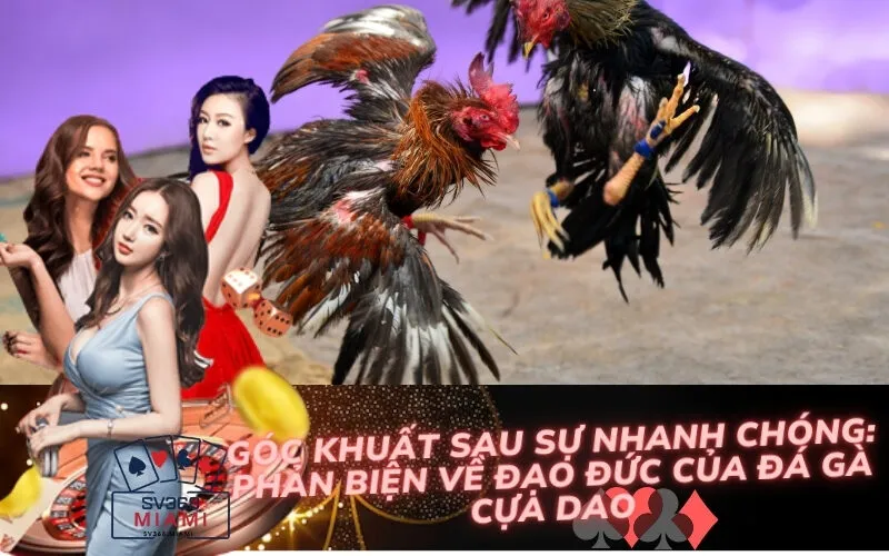 Góc khuất sau sự nhanh chóng: Phản biện về đạo đức của đá gà cựa dao