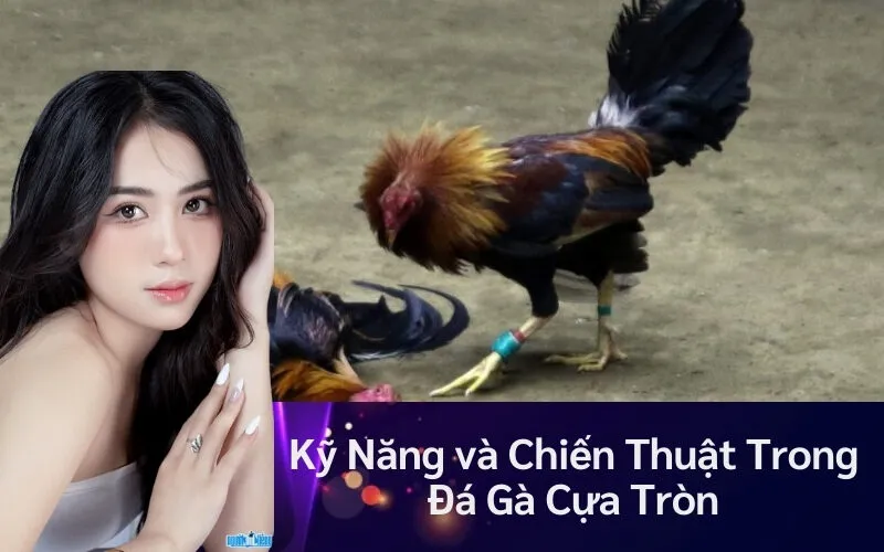 Kỹ Năng và Chiến Thuật Trong Đá Gà Cựa Tròn