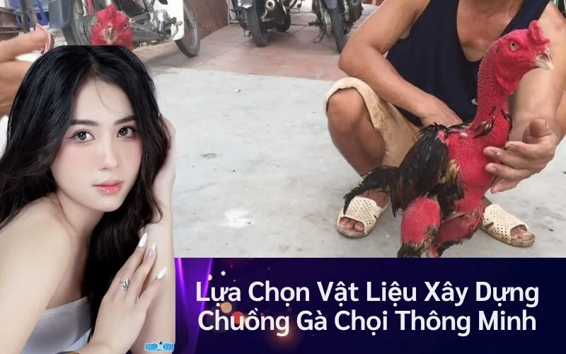Lựa Chọn Vật Liệu Xây Dựng Chuồng Gà Chọi Thông Minh