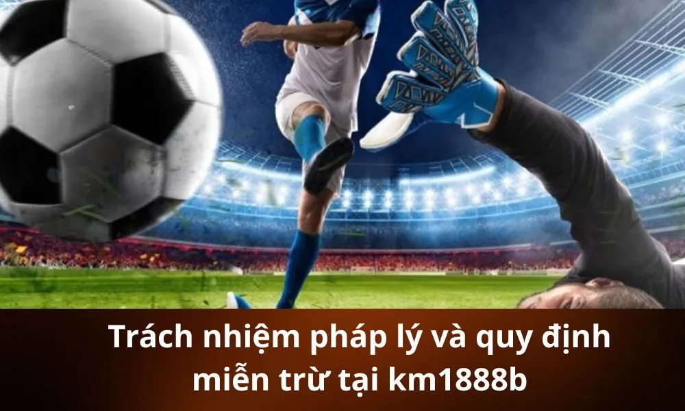 Trách nhiệm pháp lý và quy định miễn trừ tại km1888b