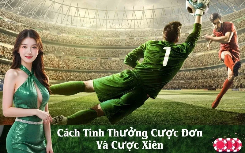 Cách Tính Thưởng Cược Đơn Và Cược Xiên