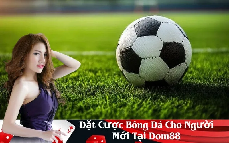 Đặt Cược Bóng Đá Cho Người Mới Tại Dom88