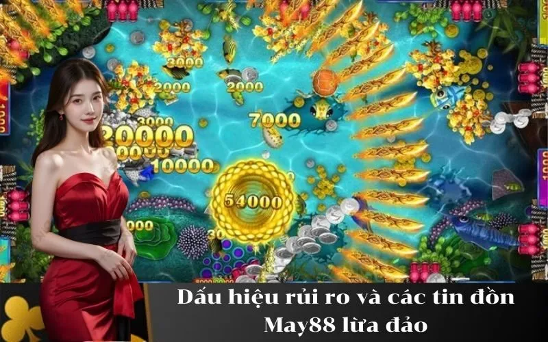 Dấu hiệu rủi ro và các tin đồn May88 lừa đảo