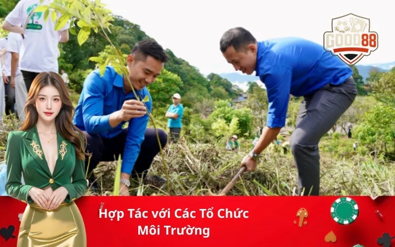 Hợp Tác với Các Tổ Chức Môi Trường