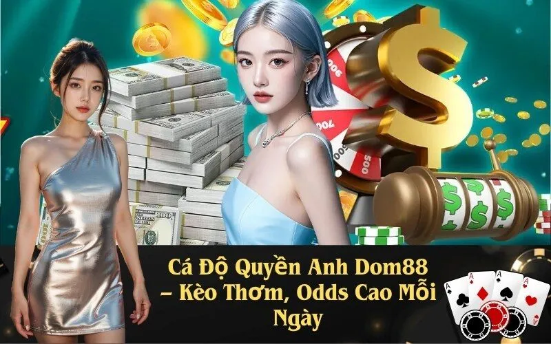 Cá Độ Quyền Anh Dom88 – Kèo Thơm, Odds Cao Mỗi Ngày