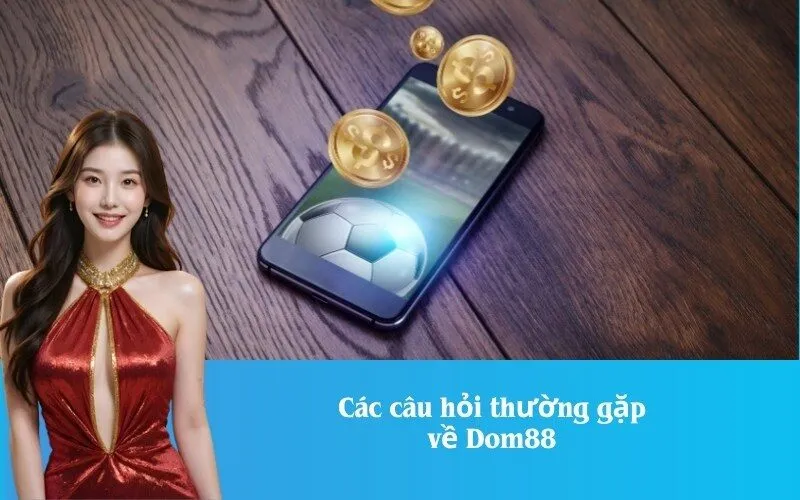 Các câu hỏi thường gặp về Dom88
