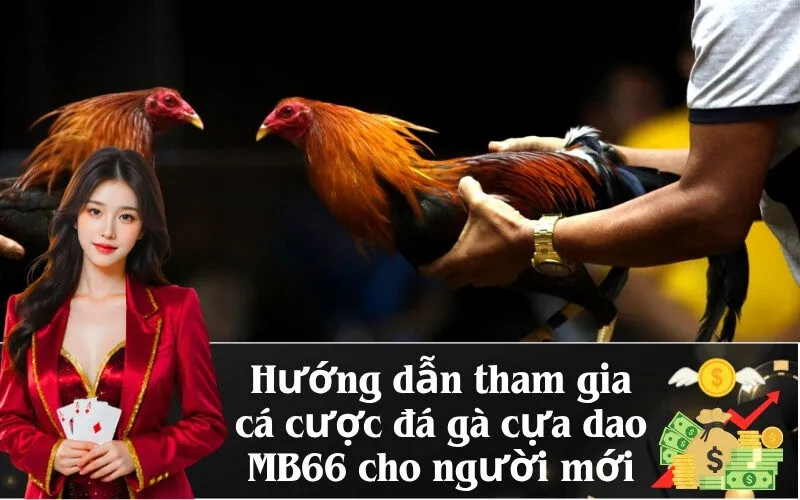 Hướng dẫn tham gia cá cược đá gà cựa dao MB66 cho người mới